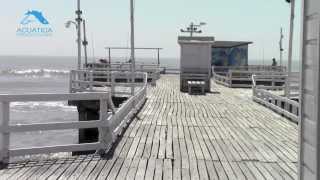 preview picture of video 'Pesca en el Muelle La Lucila del Mar (17/12/13)'
