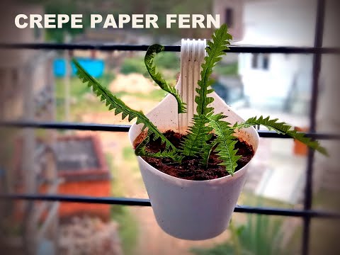 Crepe Paper Fern/HOW TO MAKE PAPER TREE FERN PLANT/Activities to do at Home in COVID-19 LOCKDOWN ?