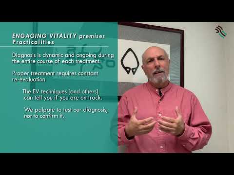 What is Engaging Vitality? - Dan Bensky