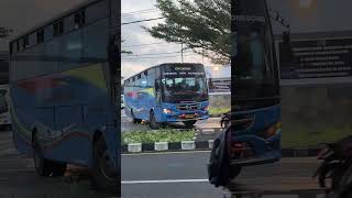 Download lagu Satu satunya tujuan cepu dari terminal arjosari malang mp3
