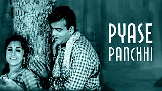 Download lagu Pyase Panchhi (1961) | प्यासे पंछी | Superhit Romantic Movie | Mehmood, Ameeta | शानदार क्लासिक mp3