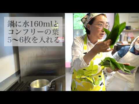 コンフリー、コンフリー 植物