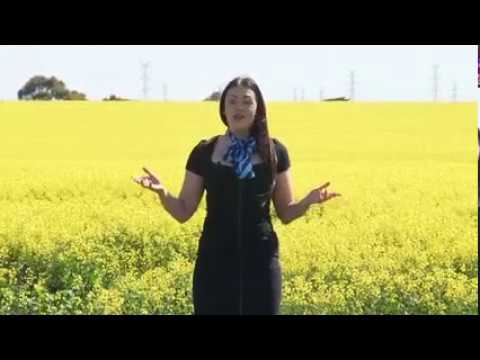 145 Lovely Banks Road, Lovely Banks