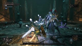 Lords of the Fallen(2023)#15「忠誠の騎士、拷問人デルブア＆守られし約束」攻略