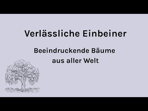 Der Andere Advent 2025/26 - Verlässliche Einbeiner