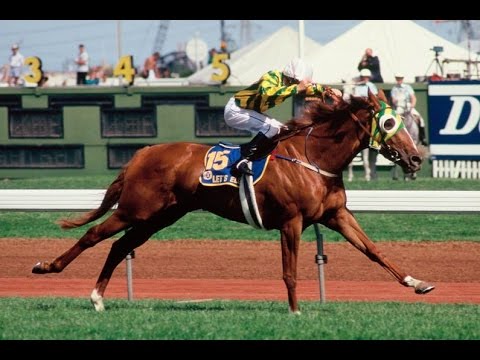 1991 _ 1992 Australiasian Racing Year Highlights _ Part