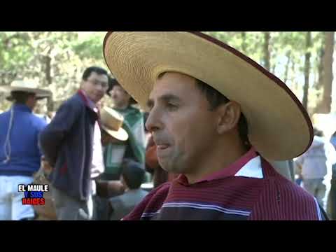 El Maule y sus Raíces - Cabalgata de Empedrado