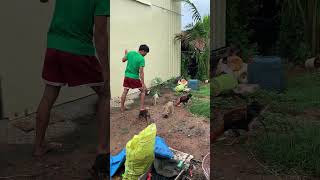 ក្បាច់ចាប់មាន់របស់ខ្ញុំ#how to catch a chicken 🐓 #ម្ហូបភ្ជុំ