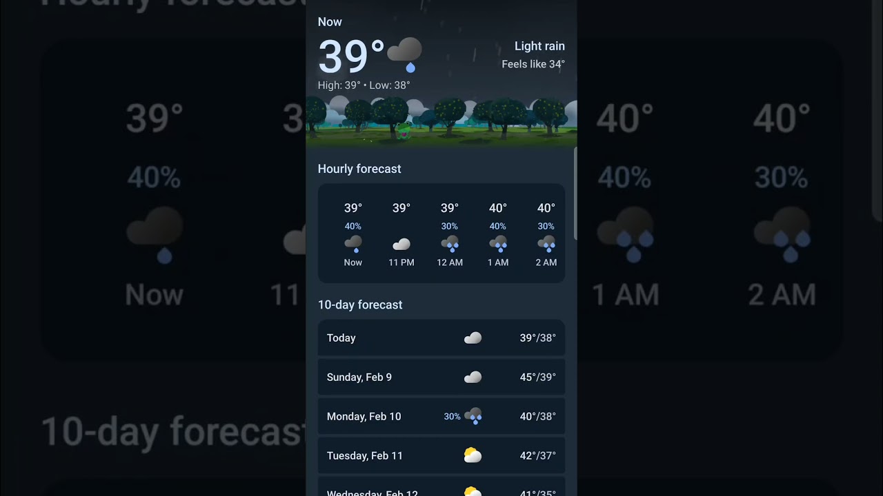 Google Weather Frog on the Google Weather app