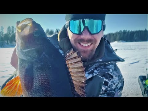 2 AHVENTA 2 KILOA | ENKAT PAUKKUU! PILKILLÄ TUMMISSA VESISSÄ!