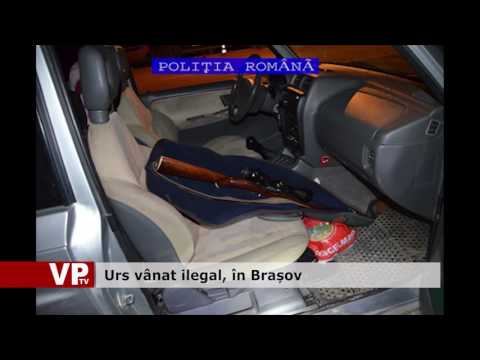 Urs vânat ilegal, în Brașov