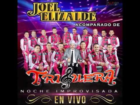JOEL ELIZALDE Y BANDA TRIGUERA EN VIVO (Disco en vivo 2017)