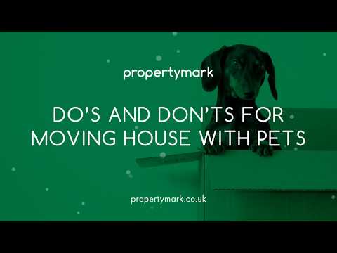 Moving House with Cats or Dogs - Our List of Do's and Dont's for Moving with Pets