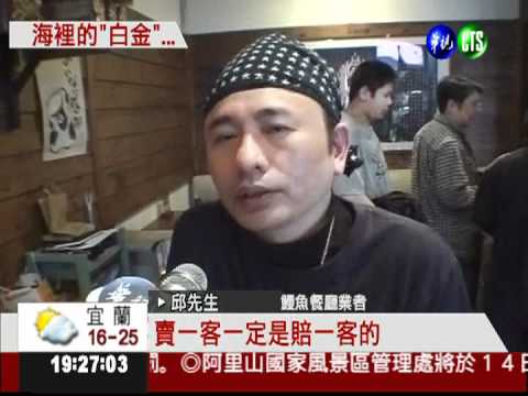 捕不到鰻魚苗! 價格翻漲近5倍