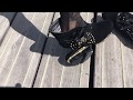 Let S Finish Daisy S Shoes