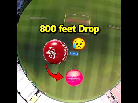 Highest Ball Drop & Catch..? 😲