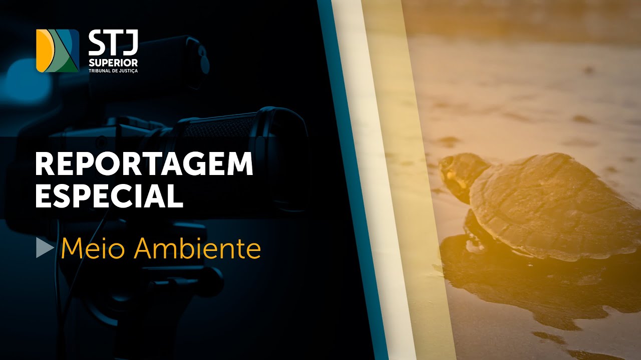 Environment I STJ decisions on the subject