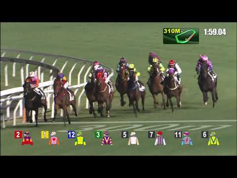 3/2/2021 (395) Dynamic Eagle -  A Badel