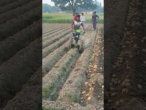 Potato Harvester# Potato Harvesting machine with tractor ##agriculture ##