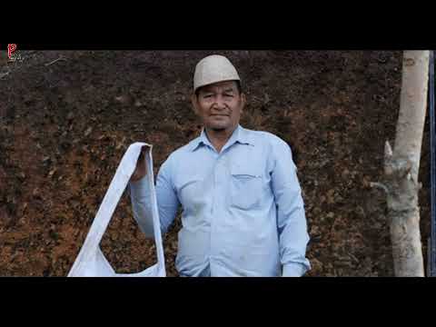 Pu Ziona a NUNG LEH!!!???