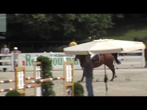 Tübingen 2015   Prf 15 03 Uwe Heinrich   Canturia