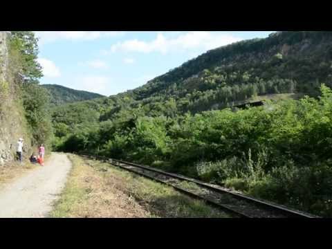 Trenurile din România | IR 1833 "Foamea" ,Iasi-Timisoara Nord in Bihor | August '14
