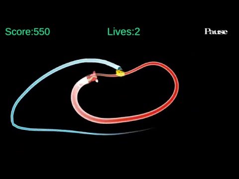 Cat and Mouse:Cat Mouse game Video