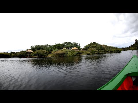 Tariri Amazon Lodge