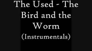 the bird and the worm, instrumental.