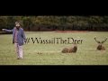 Here we Come a-Wassailing - Dan Simpson #WassailTheDeer