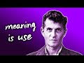 Wittgenstein On Meaning