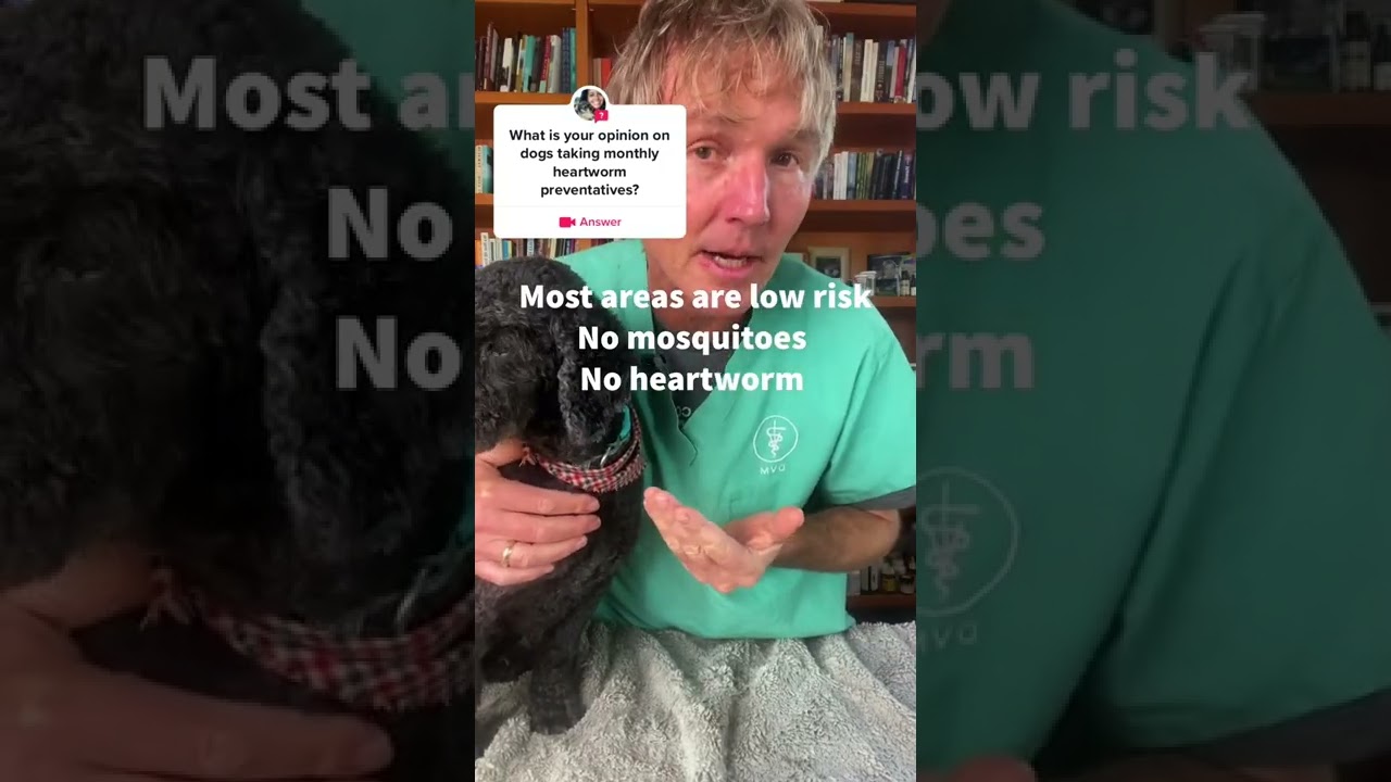 Is Heartworm Medicine for Dogs Necessary