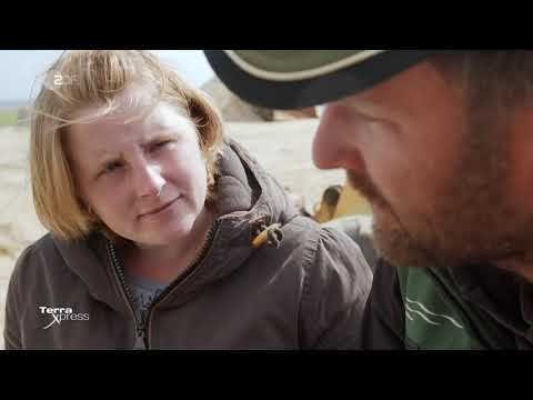 Unsere kleine Insel und die Sehnsucht nach dem Meer