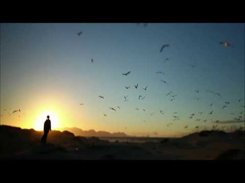 Bruce Springsteen - Blood brothers