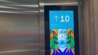 Star of the Seas - Elevator Ride