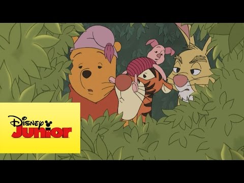 Mini aventuras de Winnie the Pooh - Cangu y Rito llegan al bosque