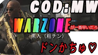 【COD】『ウォーゾーン』ドンカツなんてぽっぷすたーさ