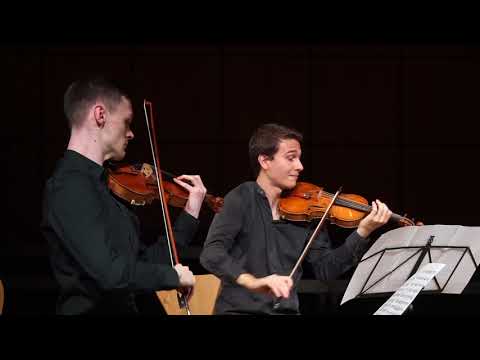ViaQuatuor - SwissChamberAcademy - Quatuor à cordes op. 59/II 1er mouv - Beethoven