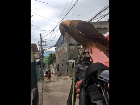 MC SMITH - TÔ PLANEJANDO UM ASSALTO [ EXCLUSIVA 2021 ] CHAPADÃO