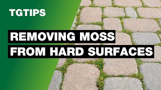 The BEST Way To Clean Moss Off Your Driveway and Other Hard Surfaces