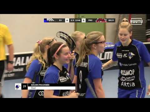 EräViikingit - SB-Pro 1.3.2020 maalikooste