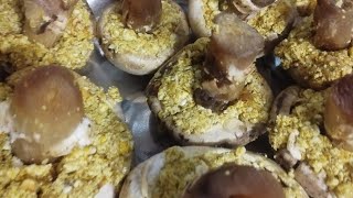 Stuff Mushroom