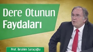 Dere Otunun Faydaları | Prof. İbrahim Saraçoğlu