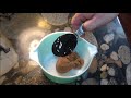 Molasses Pouring Trick