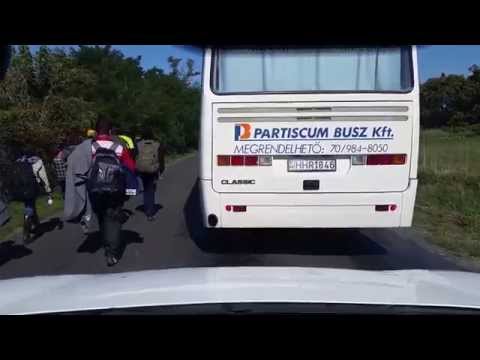 Immigrants near Röszke