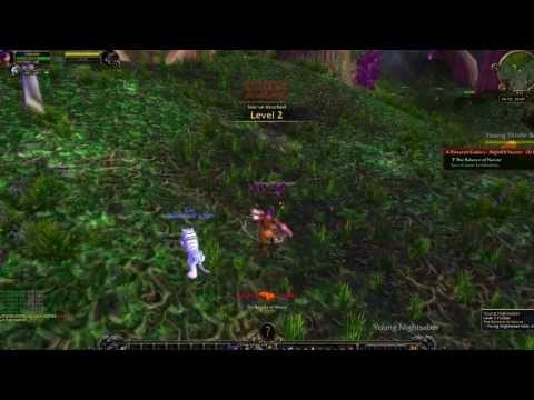 Xelerated Warcraft Guide Review | Is Xelerated Warcraft Guide Worth The Money?