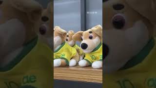 【ワールドカップ】近づくブラジル戦　サンパウロでもすでに盛り上がり