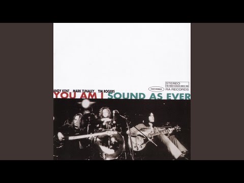 Sound As Ever - You Am I