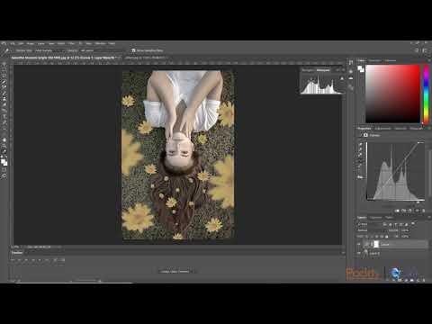 Advanced Photoshop Tips Tricks and Techniques Discover Dynamic Range Film Curves|packtpub com