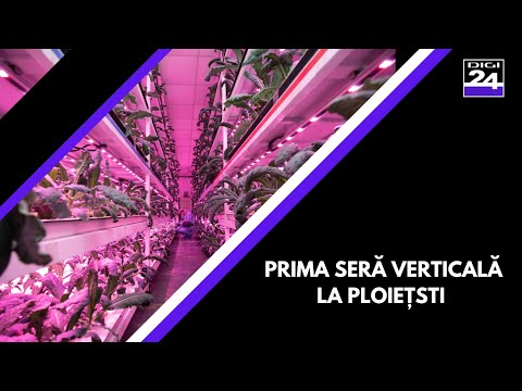, title : 'Cum arată prima seră verticală din România: peste 20 de varietăți de microplante și vlăstari'